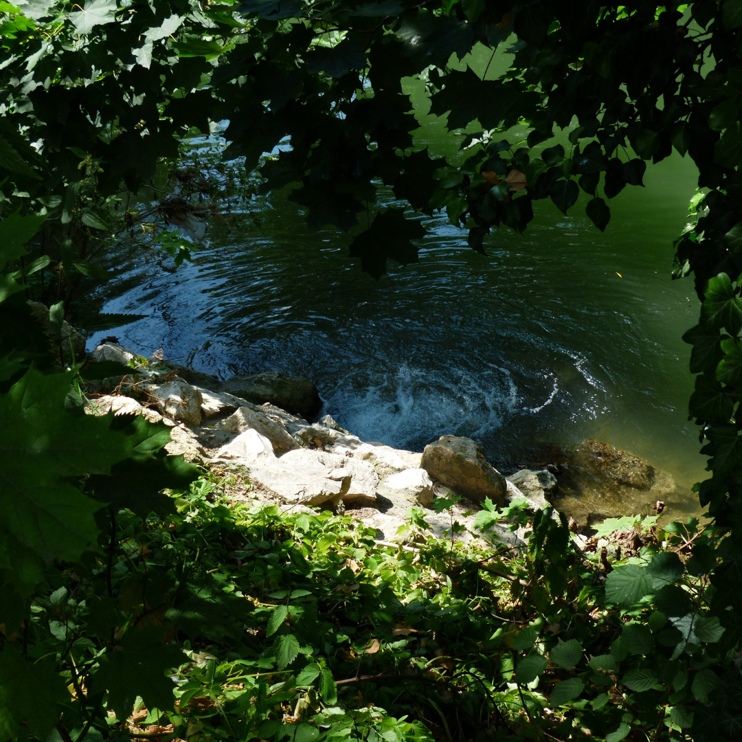 Troisième dimanche de Carême : Boire à la Source